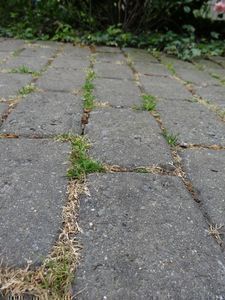 Kratzen oder brennen?