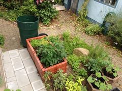 Winterfester Kräutergarten